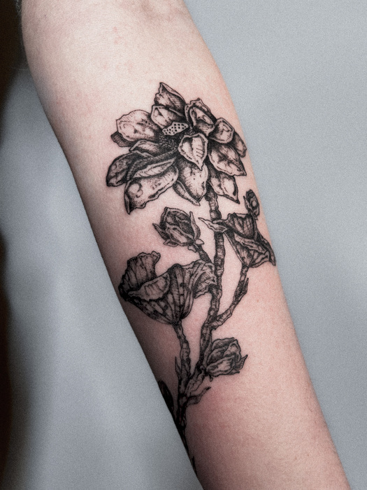 TattooExpo+/participants/bOOEPeX4Mh/tattoo-expo-24394-cfa0c73f91cad35dcb7597bfb0de25b9.jpg