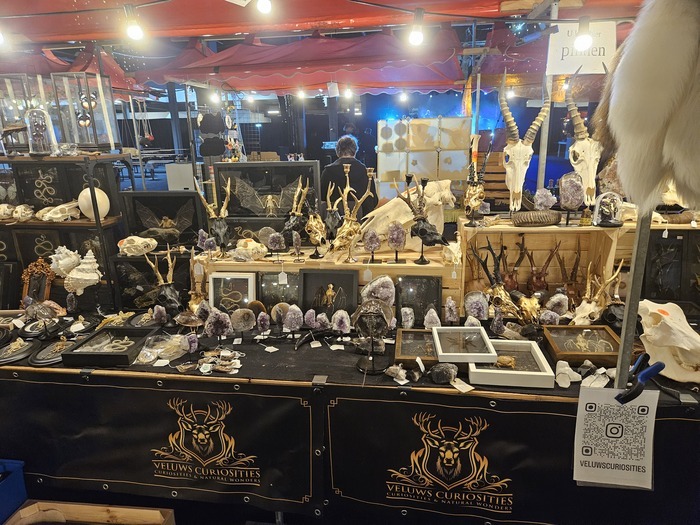 TattooExpo+/participants/itmORESijF/tattoo-expo-29018-4d04f0e87d1ce55a277602f9dc7cf9f5.jpg